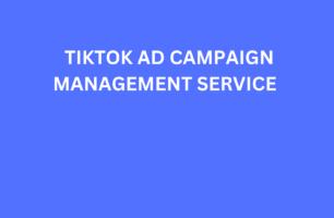 Tiktok Campaign Management Services